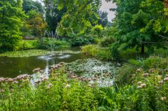 The pond and fountain