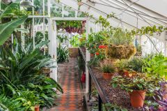 Inside a Victorian glasshouse