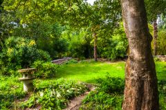 The Crazy Garden and Hollow Lawn