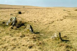 Nant Tarw Stone Circles