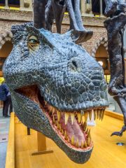 The ever-popular dinosaur exhibit up close!