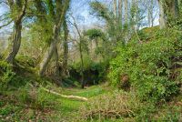 Earthwork bank and ditch