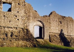 Newcastle Castle