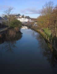 The River Lemon (c) Derek Harper