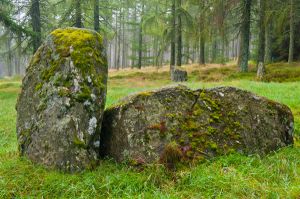 Nine Stanes Stone Circle