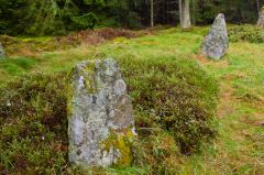 View across the circle