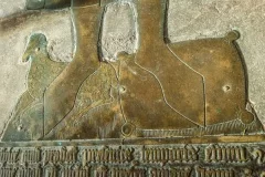 John Fortey, sheep and woolpack