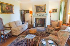 The comfortable drawing room