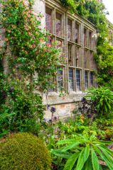 Ruined mansion walls as a garden feature