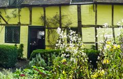 The rear garden (c) Peter Trimming