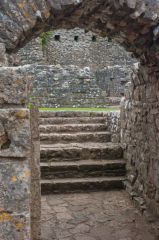 The cellar vaulting and stairs