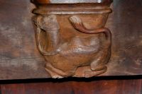 Camel misericord