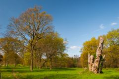 Osborne House, The parkland at Osborne