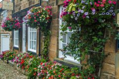 Pretty cottages in the village centre