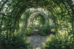 Otley Hall, A shady garden tunnel