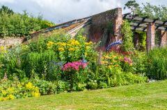 The rear garden area