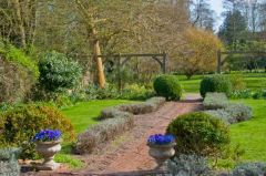 Cottage garden behind the house