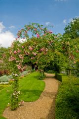 Peckover House, Colourful garden paths in summer