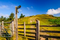 The path to the hillfort