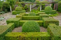 Garden hedges