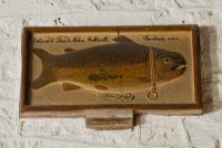 Fish with golden ring