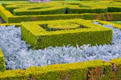Lower parterre