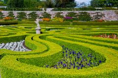 Curvilinear parterre