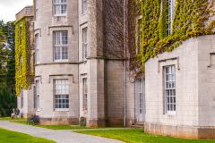 The side of the house