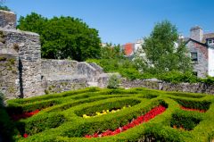 The Elizabethan Garden