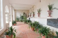 Orangery interior