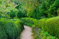 Powis Castle, Garden path