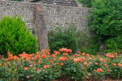 Flower borders against the church wall
