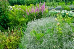 The garden is a mass of colour