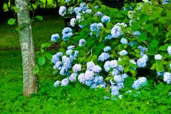 There is colour everywhere you look at Priorwood