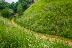 The base of the castle motte