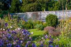 Victorian walled garden