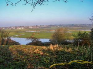 RSPB Pulborough Brooks Nature Reserve