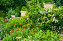 A colourful summer terrace border