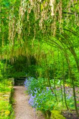A shaded garden walk