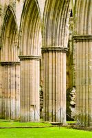 Abbey church columns
