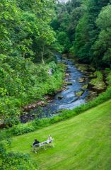 The riverside terrace