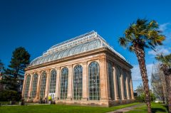 The Palm House
