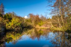 Lake beside the Chinese Pavilion