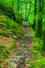 In the grounds of Rydal Hall