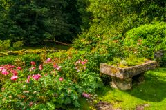 A quiet garden corner