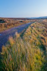 Beginning of the path