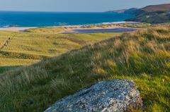 Edge of the machair