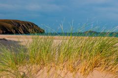 Machair grassland