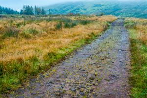 Sarn Helen Roman Road