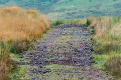 Sarn Helen Roman Road, Sarn Helen road near Maen Madoc standing stone